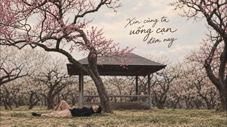 Xin cùng ta uống cạn đêm nay